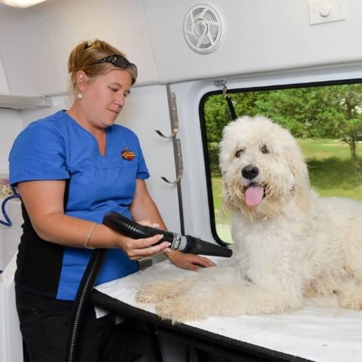 Aussie mobile pet store grooming near me