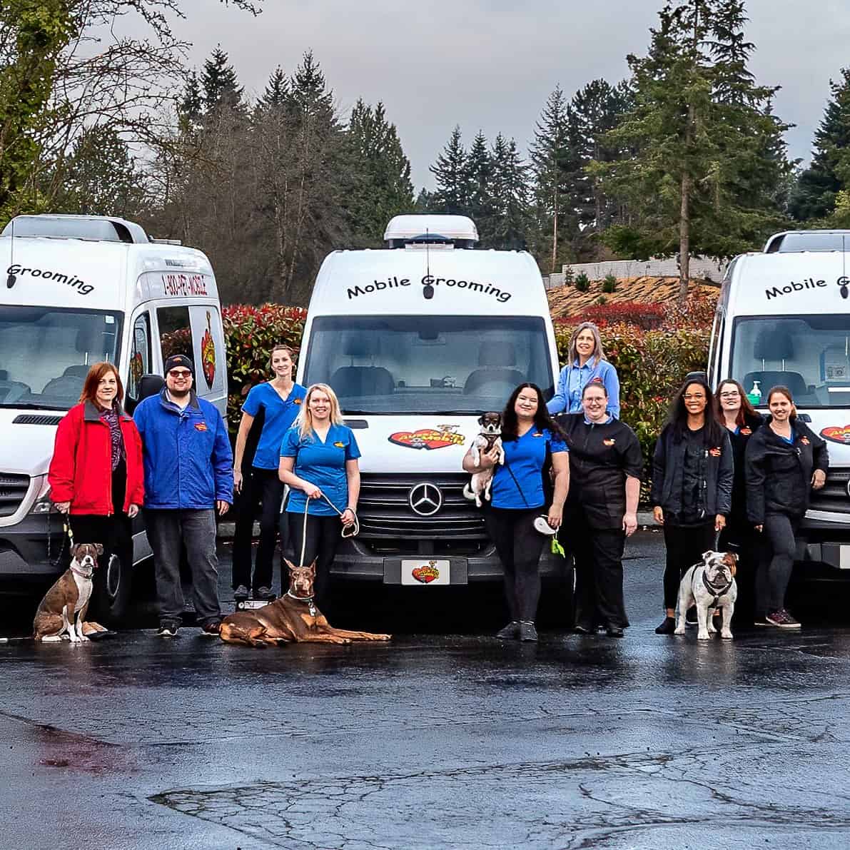 Aussie Pet Mobile Franchising Your Vehicle Towards Financial Independence