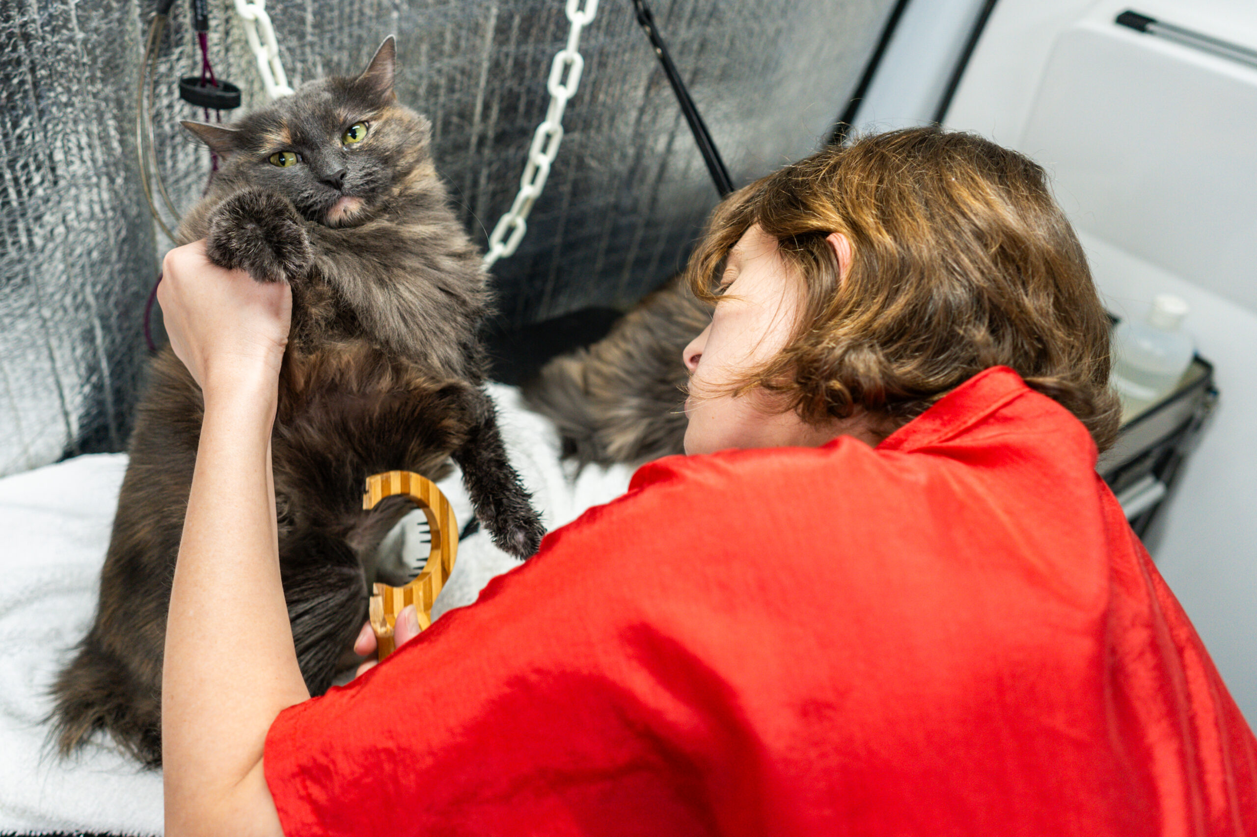 Starting a Pet Business: Why Franchising Is Your Best Opportunity