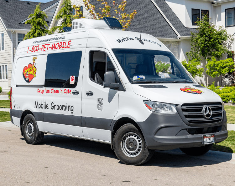 How Tech, Sustainability, and Lifestyle Trends Are Driving the Future of Mobile Grooming Franchises