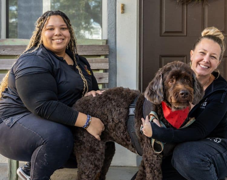 Dog Groomer with Dog and Owner.